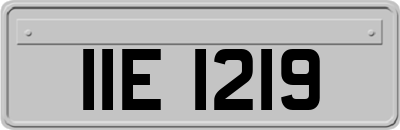 IIE1219