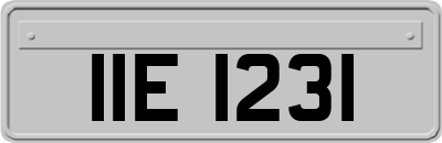 IIE1231