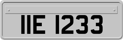 IIE1233