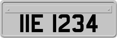 IIE1234