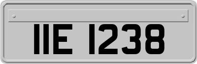 IIE1238