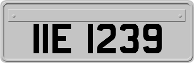 IIE1239