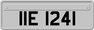 IIE1241