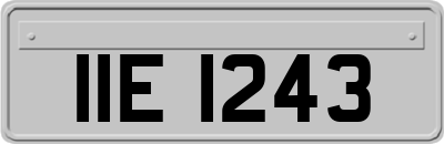 IIE1243
