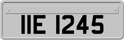 IIE1245