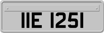 IIE1251