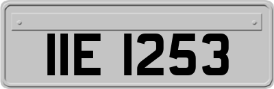 IIE1253