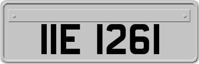 IIE1261
