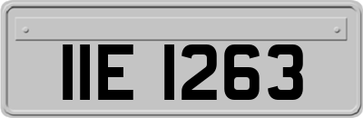 IIE1263