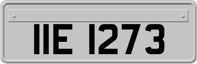 IIE1273