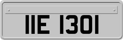 IIE1301