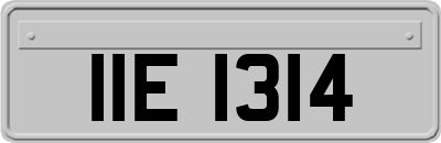 IIE1314