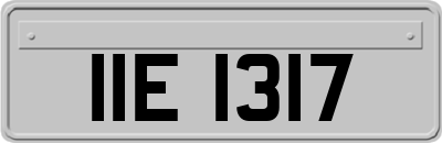 IIE1317