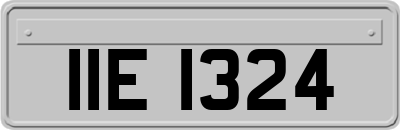 IIE1324