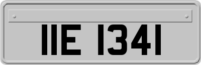 IIE1341