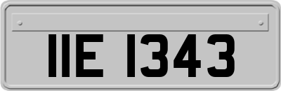IIE1343