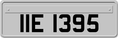 IIE1395
