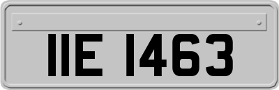 IIE1463
