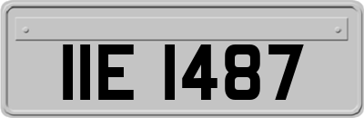 IIE1487