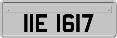 IIE1617