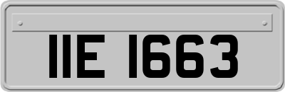 IIE1663