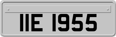 IIE1955