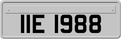 IIE1988
