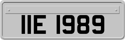 IIE1989
