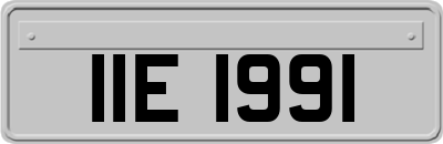 IIE1991