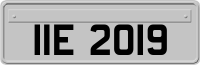 IIE2019