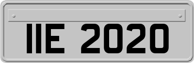 IIE2020