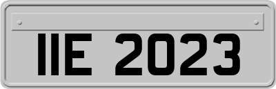 IIE2023