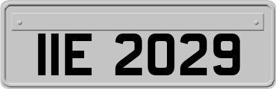 IIE2029