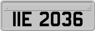 IIE2036