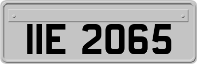IIE2065