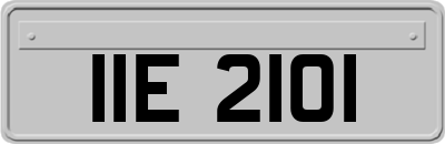 IIE2101