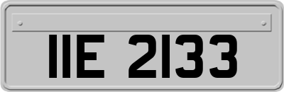 IIE2133