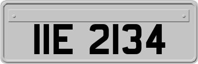 IIE2134
