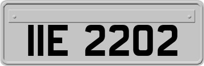 IIE2202