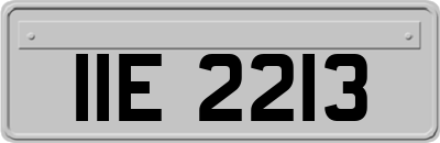 IIE2213
