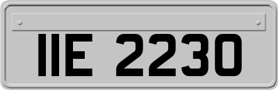 IIE2230