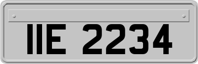 IIE2234