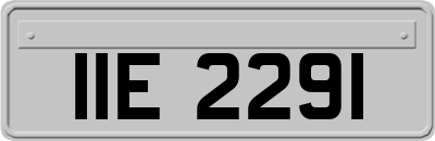 IIE2291