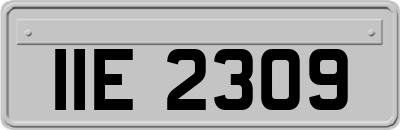 IIE2309
