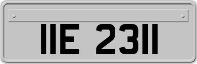 IIE2311