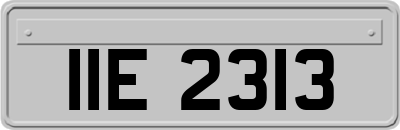 IIE2313