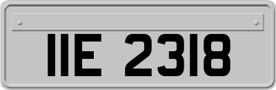 IIE2318
