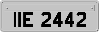 IIE2442