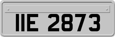 IIE2873