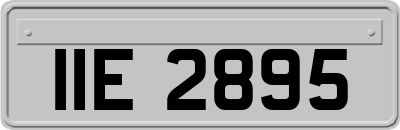 IIE2895